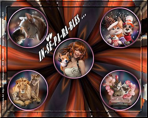 Image result for Elever Inseparables