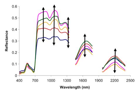 Image result for Environment Diffuse Scale Demonstration