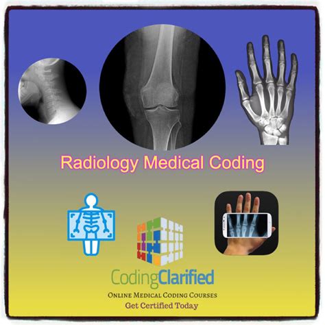 Image result for CPT Coding Radiology