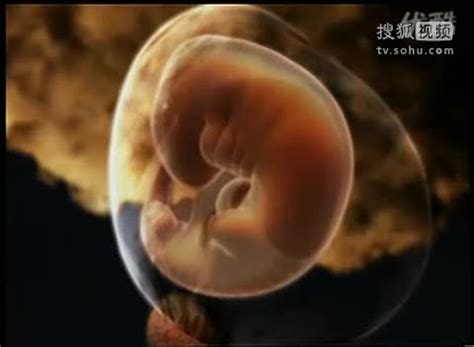 请问怀孕早期胎儿位置偏低会严重吗？我B超图显示的请问有没有问题呢？ - 百度宝宝知道