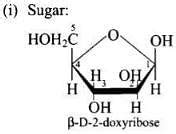 NCERT Exemplar: Biomolecules - Chemistry Class 12 - NEET PDF Download