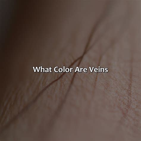 What Color Are Veins - colorscombo.com
