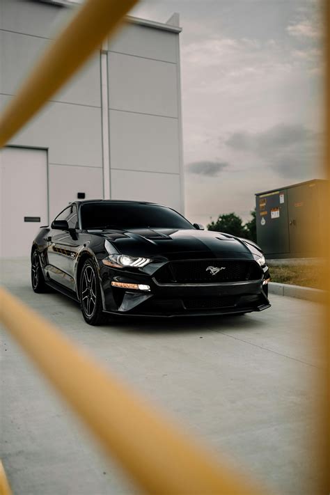 Black Mustang Gt 4k Wallpaper 4k - Infoupdate.org