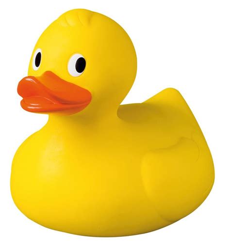Image result for Tutorial Canard