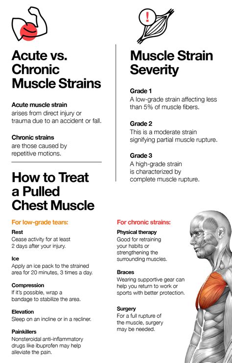 Pulled Chest Muscle: Symptoms, Causes and Treatment – The Amino Company