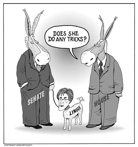 Senator Cartoon 的图像结果