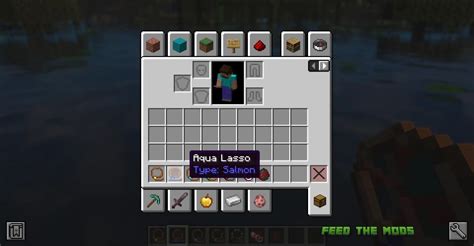 Image result for Lass LP Minecraft Mods