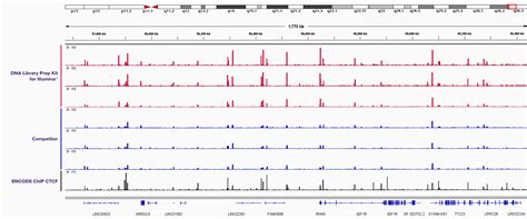 DNA Library Prep 的图像结果