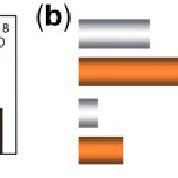 Image result for Vector Graphics Data Extraction