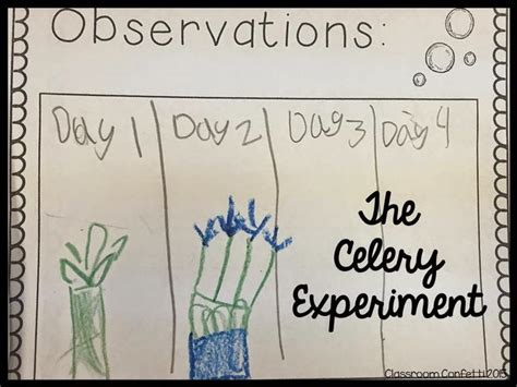 Image result for NCERT Science Experiments