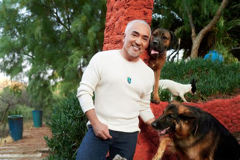 🌈 – Cesar Milan Breaks In Tears After Sentenced For Life In Prison ...