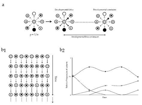 Image result for What iOS a Developmental Variation