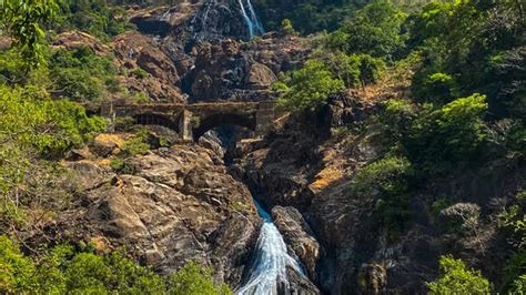 Goa: Dudhsagar Fall reopens for tourists; book tickets online | TimesTravel