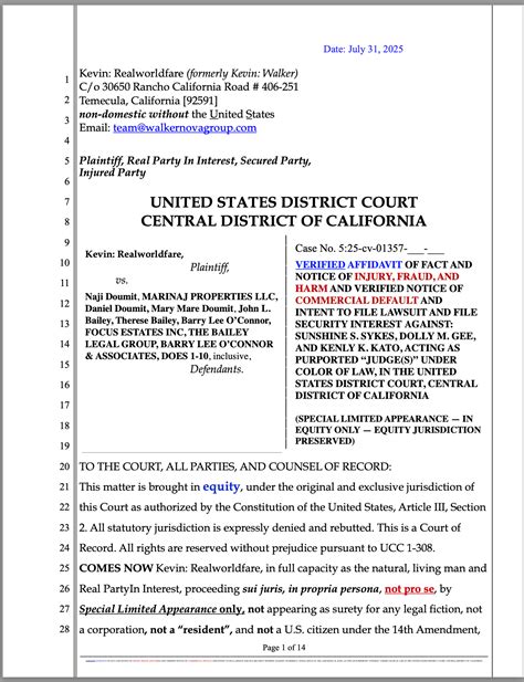 Federal Judge Sunshine Sykes Faces Imminent Lawsuit for Treason, Fraud ...