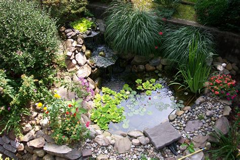 Pond Design Ideas 的图像结果