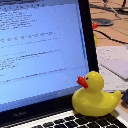 Image result for Debugging Duck Python