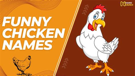 570+ Funny Chicken Names [Best Ideas] - Names Crunch