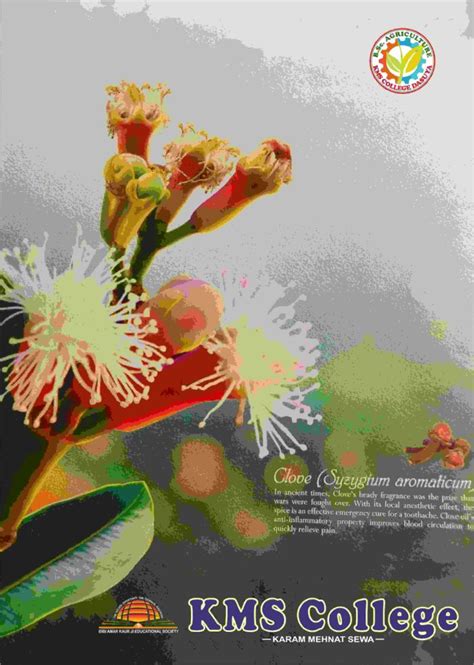 Posters - KMS College of IT & Management, DasuyaKMS College of IT ...