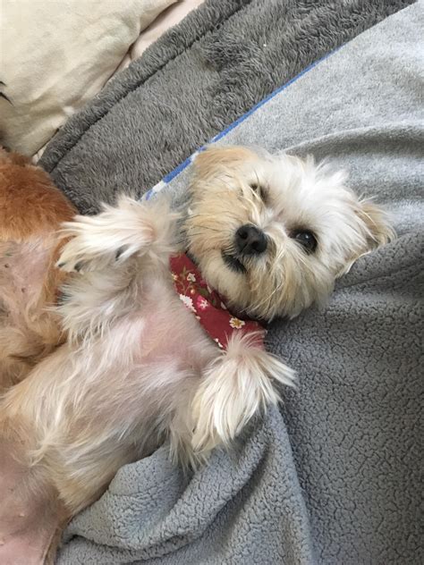 Bella.beee Nude 2025 New Media Upload #857