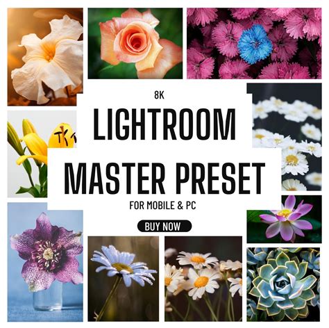 8K Lightroom Master Preset For Mobile & Pc – Digikartz