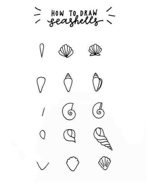 Image result for Pretty Shell Drawing