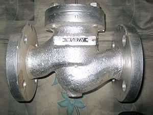 Worth CS Non Return Valve Flanged ends 150 40mm : Amazon.in: Home ...