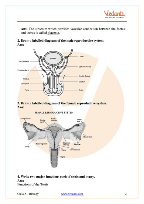 Class 12 Reproduction Videos 的图像结果