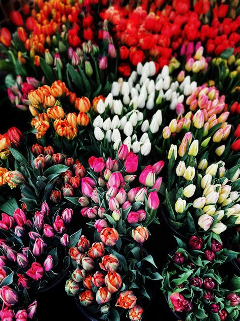 Image result for Workers-Rights Target Market