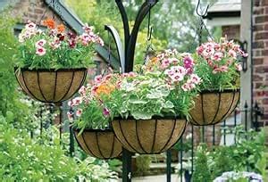 OSHIGREENS Flower Hanging Basket Coconut Coir Husk Metal Liner Round 8 ...