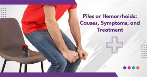Everything you need to know about piles