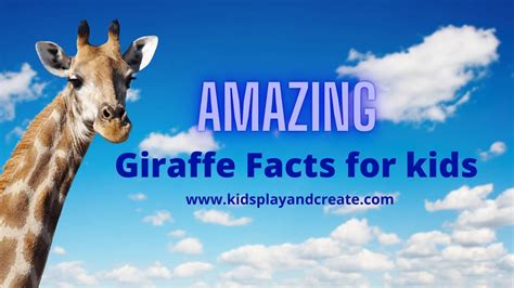 Image result for Giraffe Poop Facts