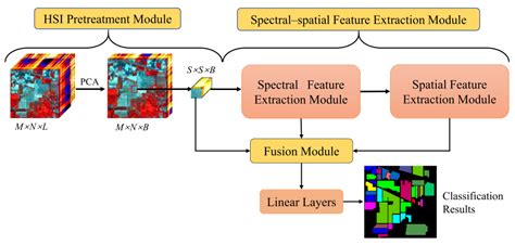 TransHSI: A Hybrid CNN-Transformer Method for Disjoint Sample-Based ...