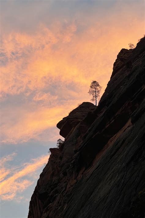 How to Use iPhone 12 Pro Max Camera 的图像结果