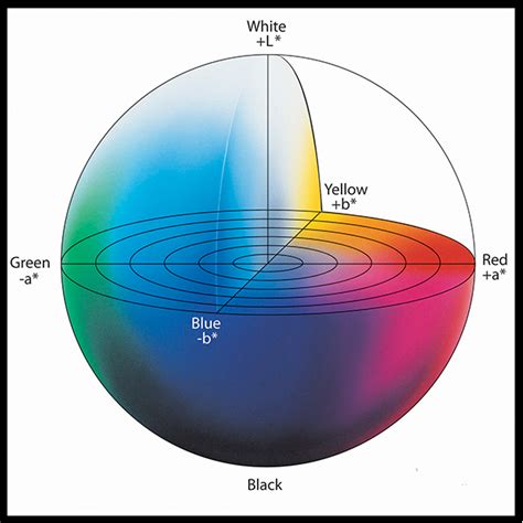 Image result for Color Systems Technology