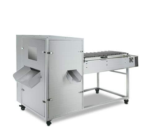 Image result for Fish Cutter Processing Machine