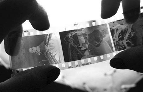 Что такое пленочная фотография и как ее правильно проявить ...