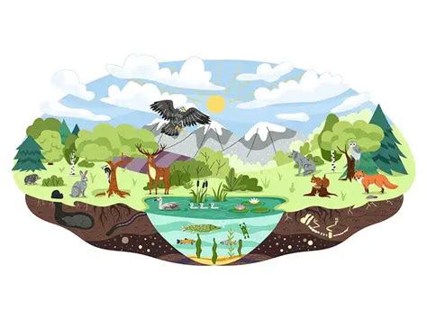 Environmental Science Examples 的图像结果