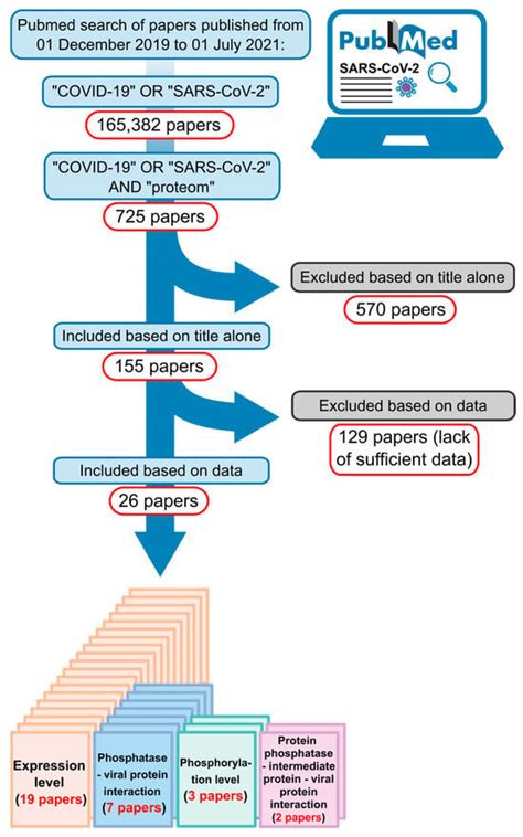 Kinases and Phosphatases | An Open Access Journal from MDPI