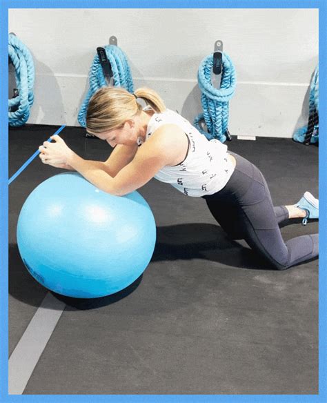 Image result for Stability Ball Challenge