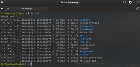Image result for Linux Ls Output Explained