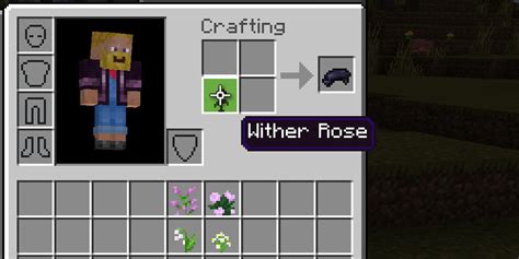 Image result for Minecraft Color Dye