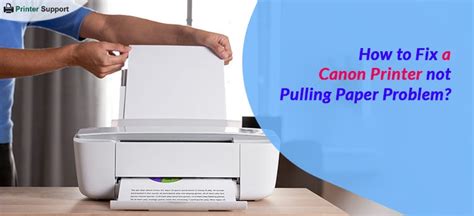 Canon Paper Problem 的图像结果