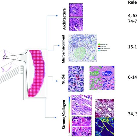 Image result for Deep Learning Features