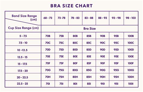 5 Expert Tips: How to Find the Right Bra? - Neubodi