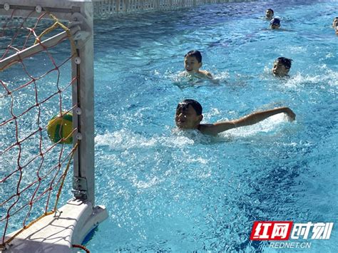 湘大游泳馆成为夏日消暑好去处（图）_文旅_湘潭站_红网