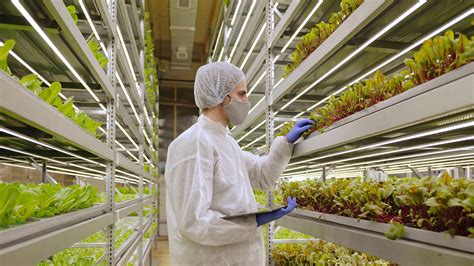 Обновлённые гидропонные системы от Hydroponic Systems International