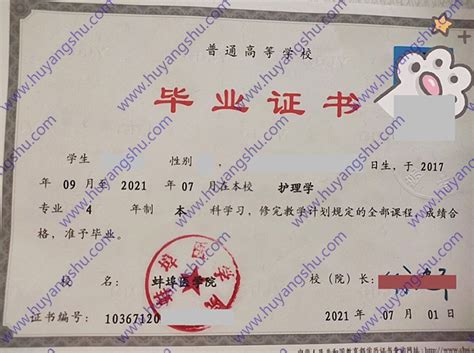 蚌埠医学院历届毕业证学位证图片-胡杨树样本网
