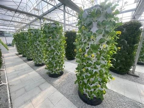 Vertical tower vegetable growing hydroponics unit - Hydroponic Systems ...