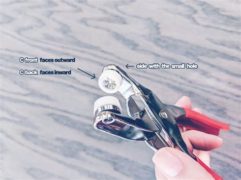 Snaps Tutorial 的图像结果