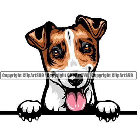 Dog Jack Russell Terrier Royalty Free Vector Image – Free Clipart ...
